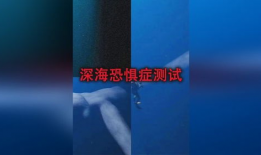 深海恐惧症视频,揭秘深海恐惧症的神秘世界