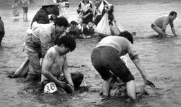 摸石头过河游戏视频,挑战与智慧的较量